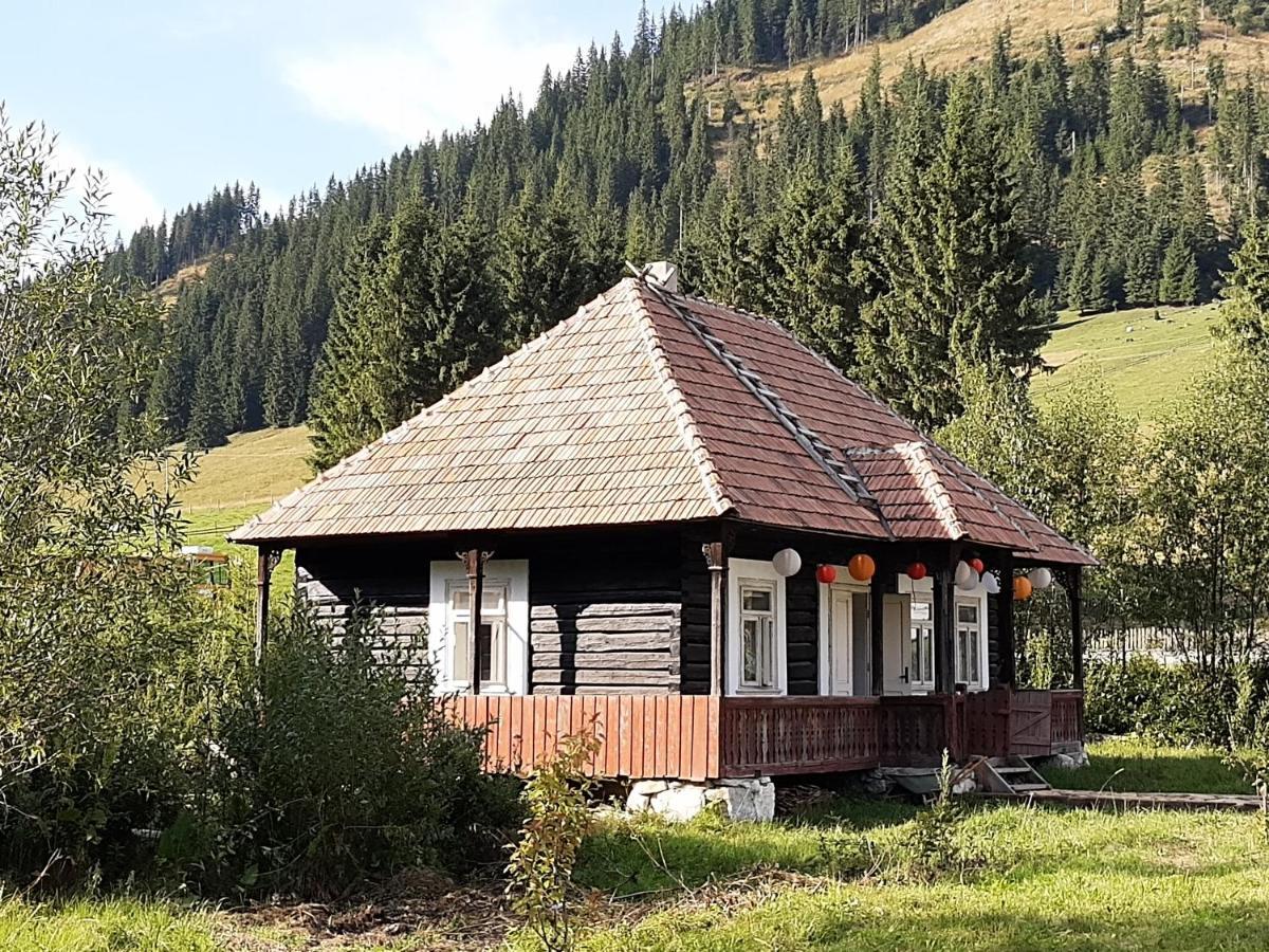 Hotel La Malu' Bistritei - Casutele Valea Stanii Extérieur photo
